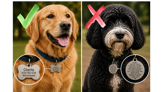Custom Pet Tags: Everything You Need to Know