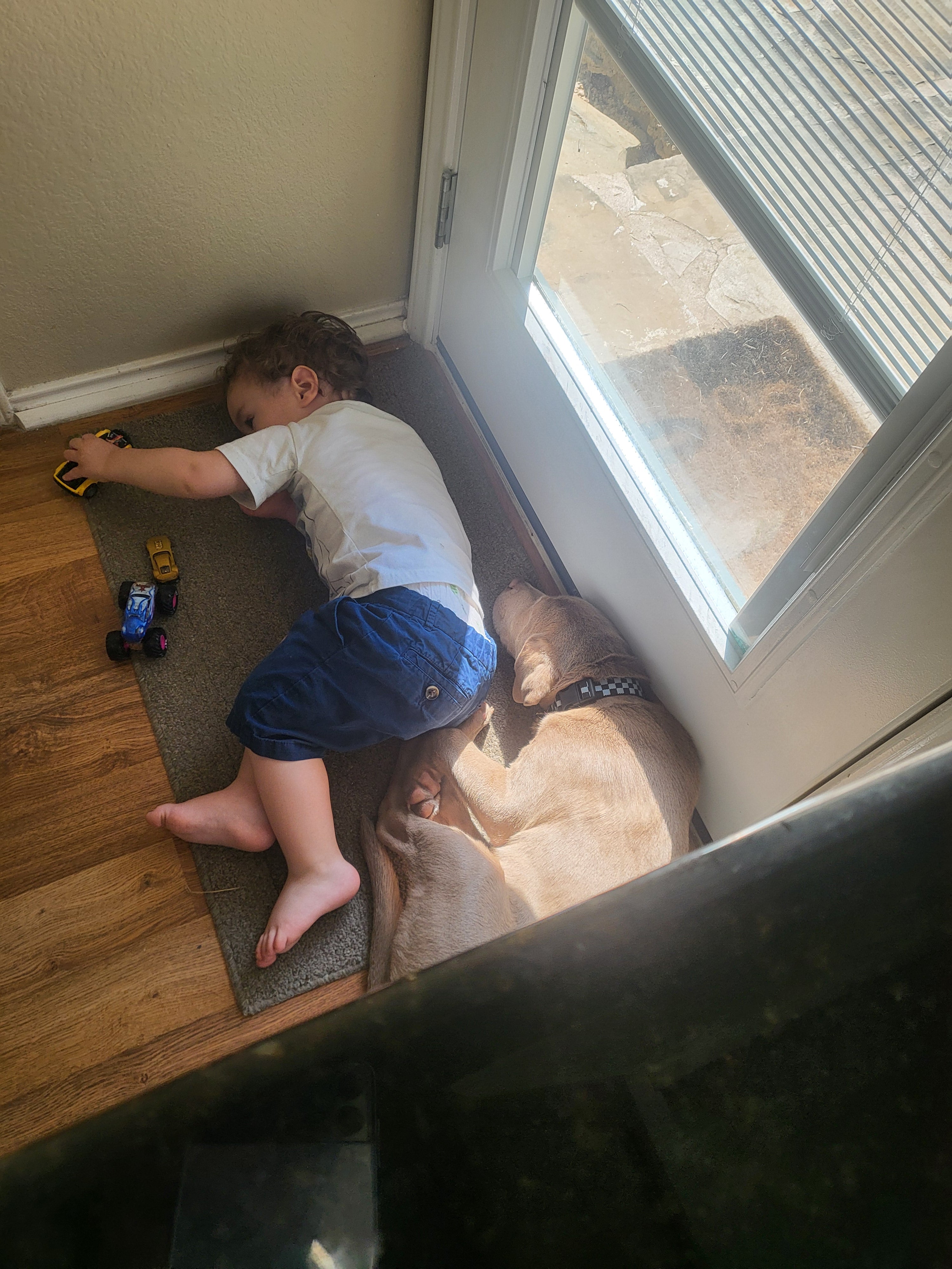 Child playing on the floor with a dog near a glass door.