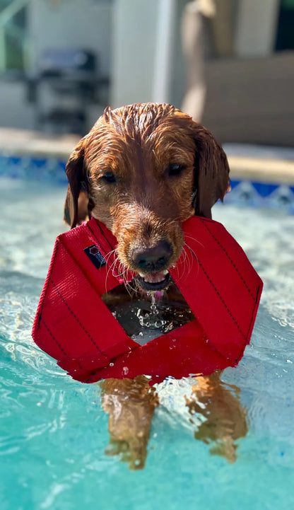 Fire Hose Dog Frisbee
